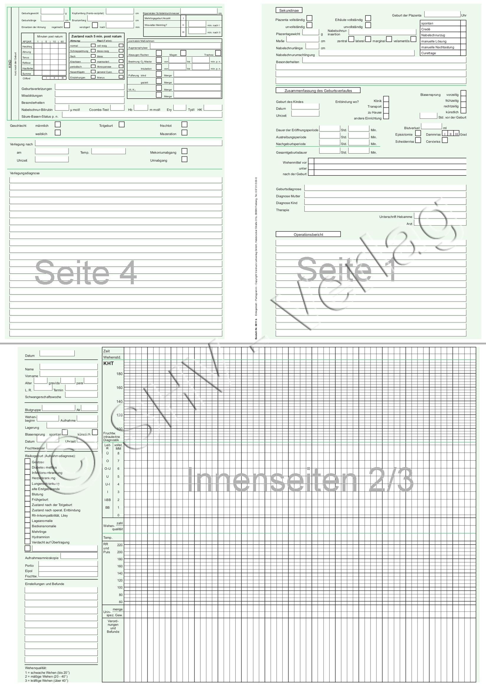 Einlegeblatt (Partogramm)